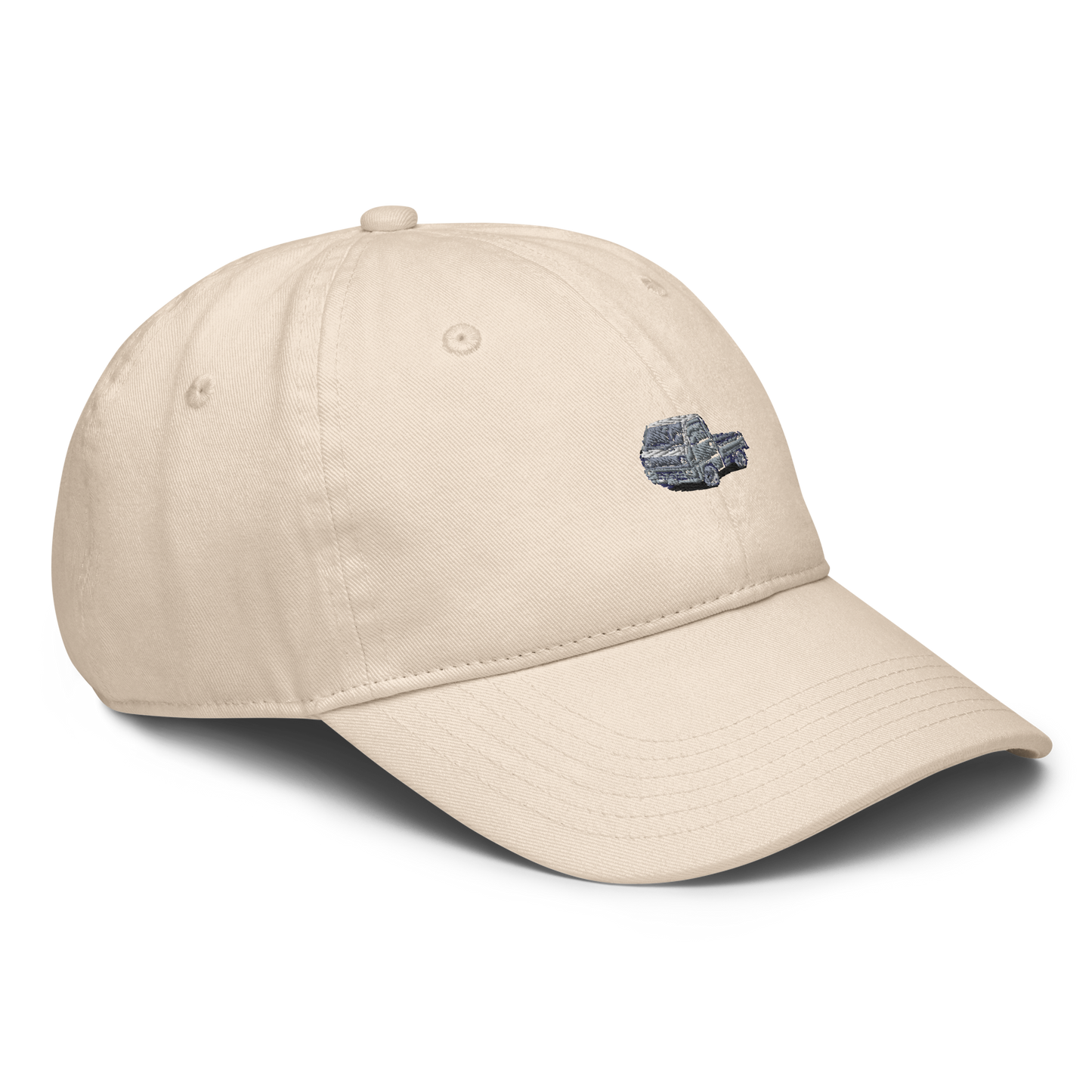 Champion dad hat